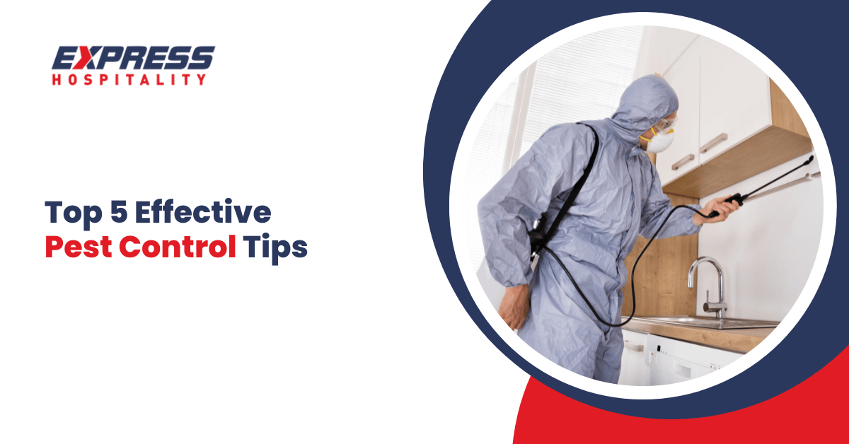 Top 5 Effective Pest Control Tips